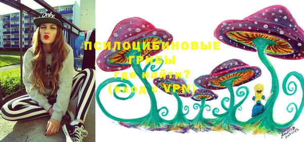 а пвп мука Алзамай