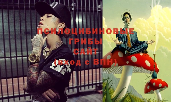 бутират Алексеевка